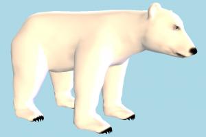 Polar Bear bear, polar, animal, animals, wild, nature, mammal, zoology
